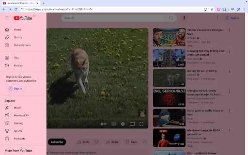 Pastel Pink YouTube डाउनलोड करें – YouTube को आकर्षक बनाएं - Screenshot 2