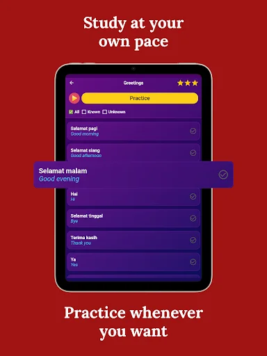 Learn Indonesian – Beginners ऐप डाउनलोड करें – तेजी से सीखें - Screenshot 17