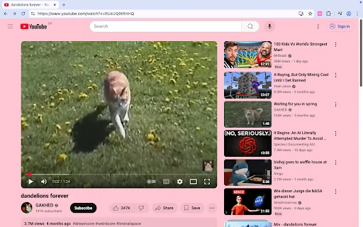 Pastel Pink YouTube डाउनलोड करें – YouTube को आकर्षक बनाएं - Screenshot 1