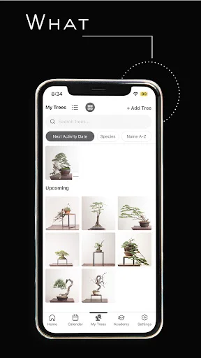 Mirai Mobile डाउनलोड करें – बेहतरीन बोन्साई गाइड और टिप्स - Screenshot 8